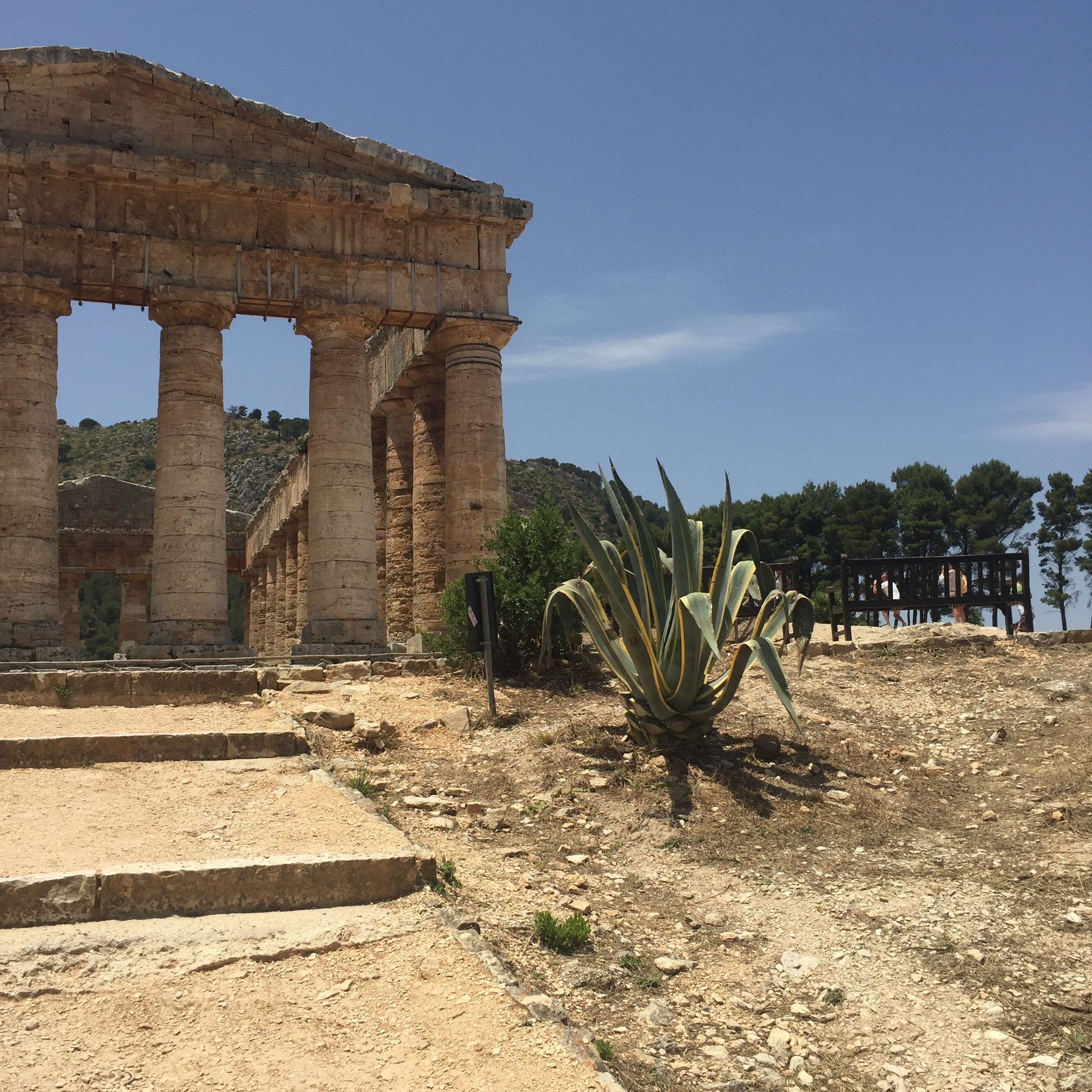 Erice e Segesta: persa tra storia e sapori Siciliani. Day#3