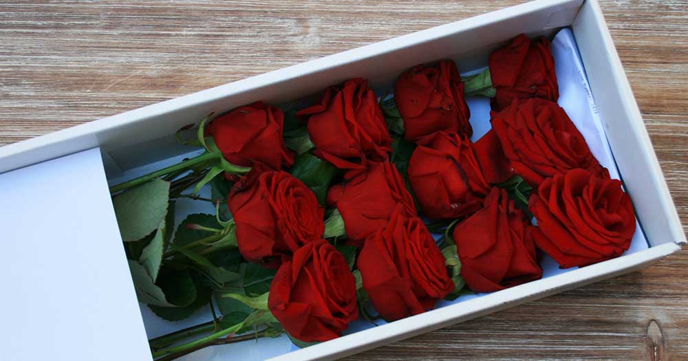 BLOOVERY, la nuova APP per inviare fiori e un codice sconto per voi 4