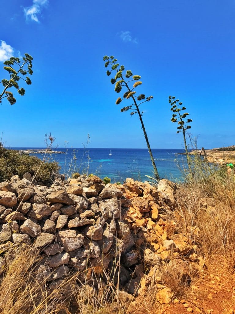 Vacanze a Favignana: tutte le dritte per vivere una vacanza indimenticabile 19