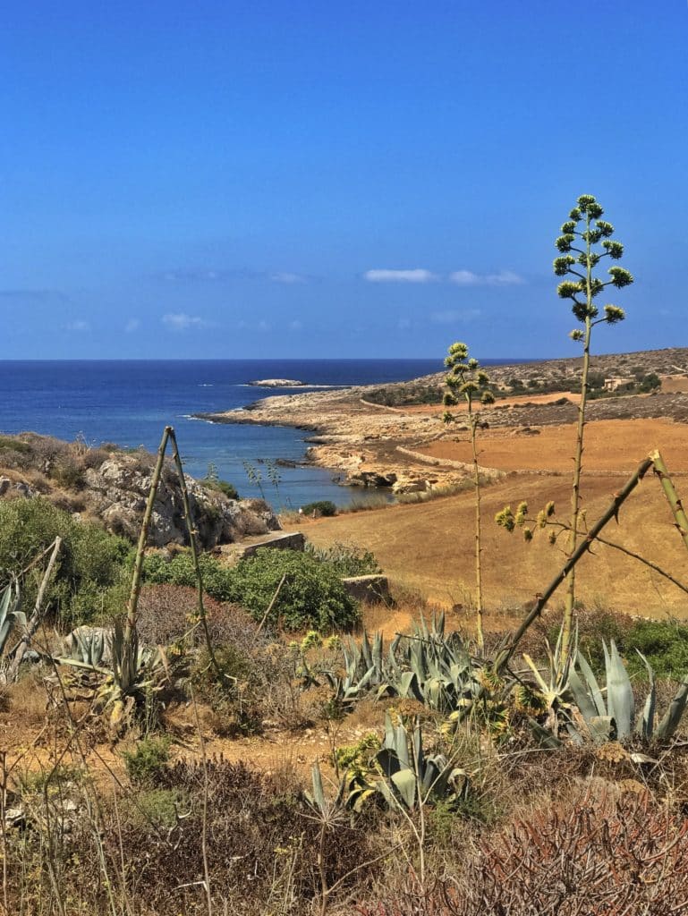 Vacanze a Favignana: tutte le dritte per vivere una vacanza indimenticabile 20