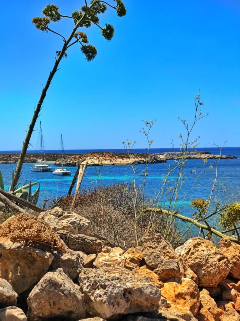 Vacanze a Favignana: tutte le dritte per vivere una vacanza indimenticabile 6