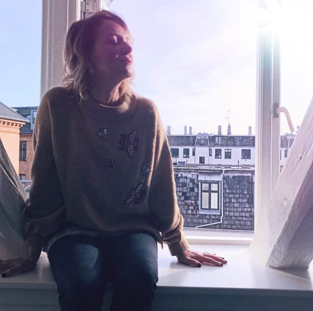 Viaggio a Copenaghen: una guida alla visita della città 11