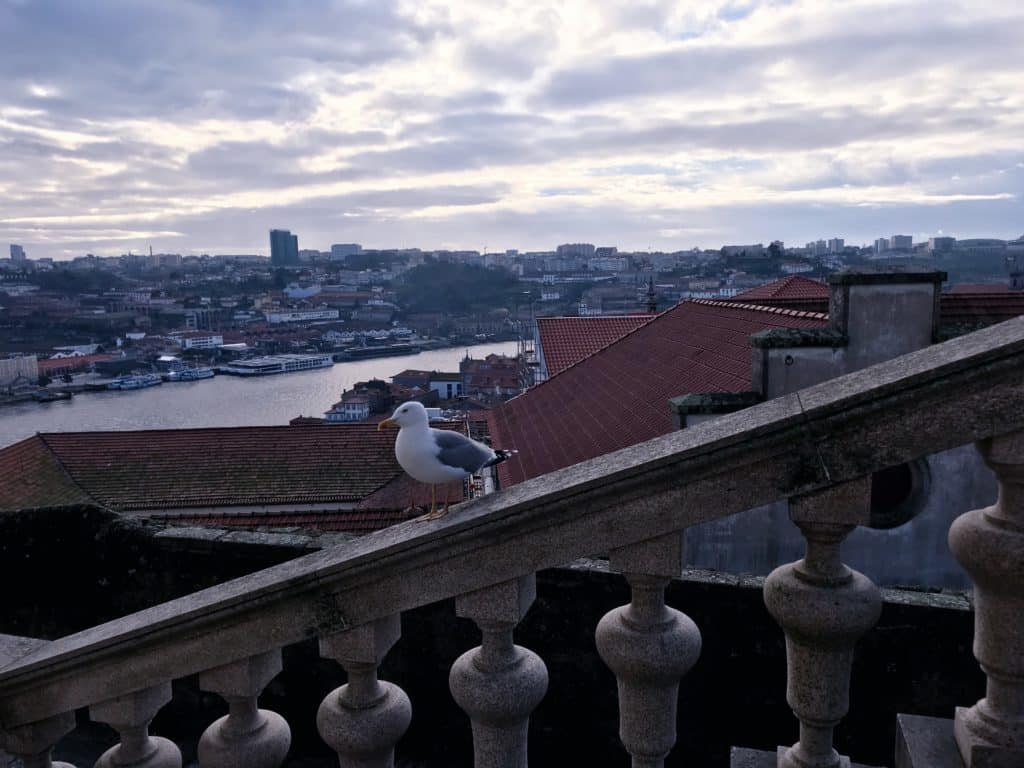 Porto guida turistica: dritte di viaggio per un week end indimenticabile 35