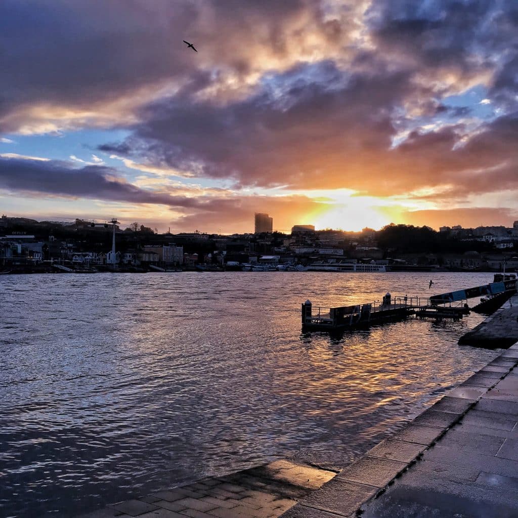 Porto guida turistica: dritte di viaggio per un week end indimenticabile 43