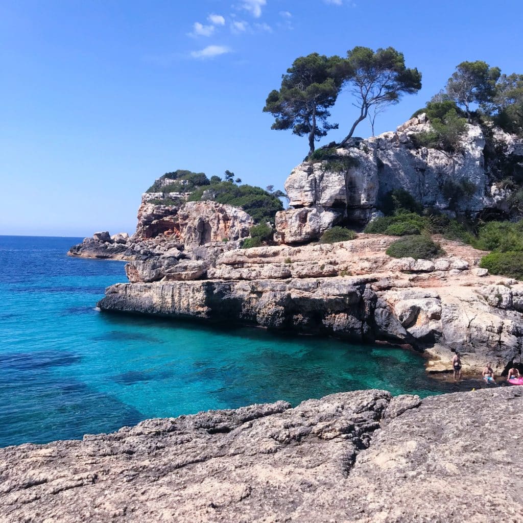 Vacanze a Maiorca: tutte le dritte per un viaggio indimenticabile 8