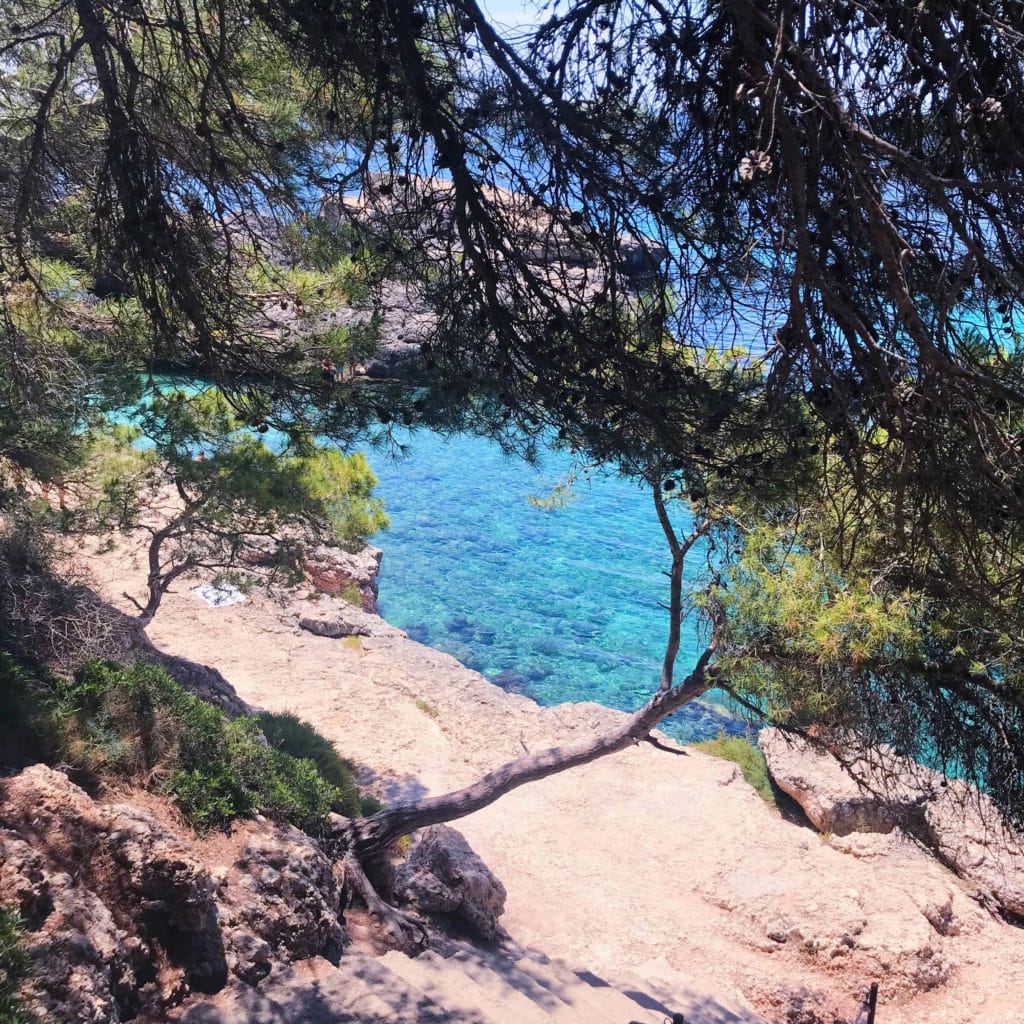 Vacanze a Maiorca: tutte le dritte per un viaggio indimenticabile 9