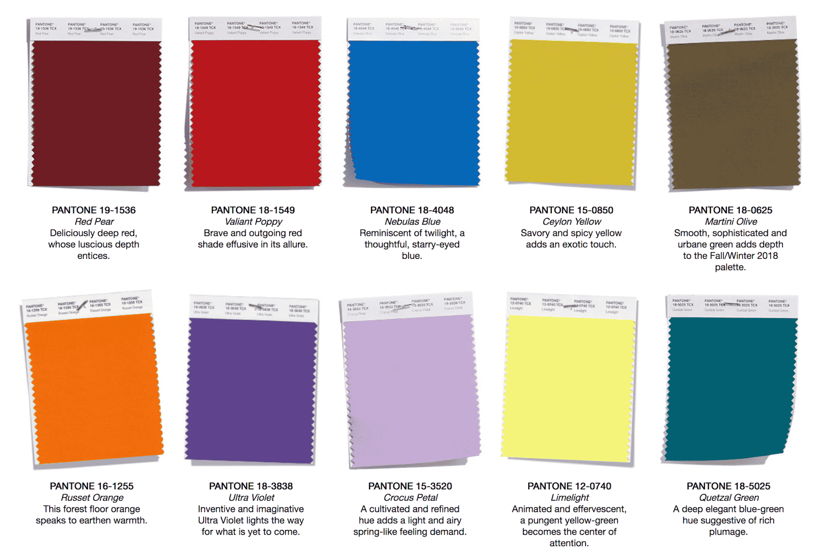 Cartella Pantone