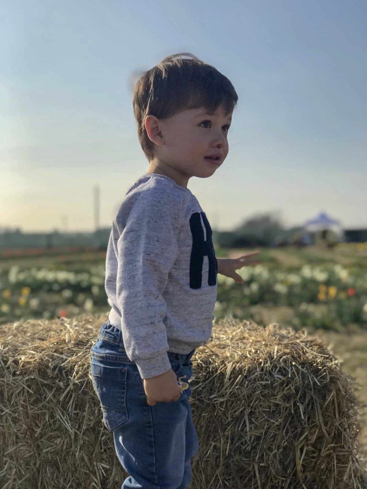 Omogeneizzati aiuta-mamme: ovvero, come sopravvivere al momento della pappa durante i Terrible Two 1