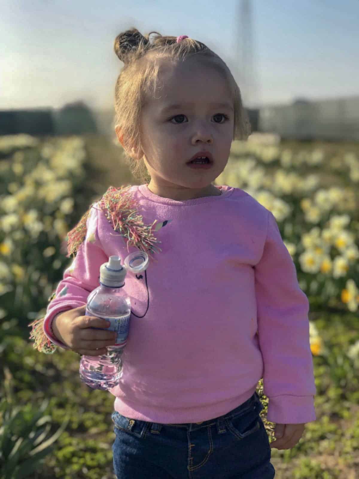 Omogeneizzati aiuta-mamme: ovvero, come sopravvivere al momento della pappa durante i Terrible Two
