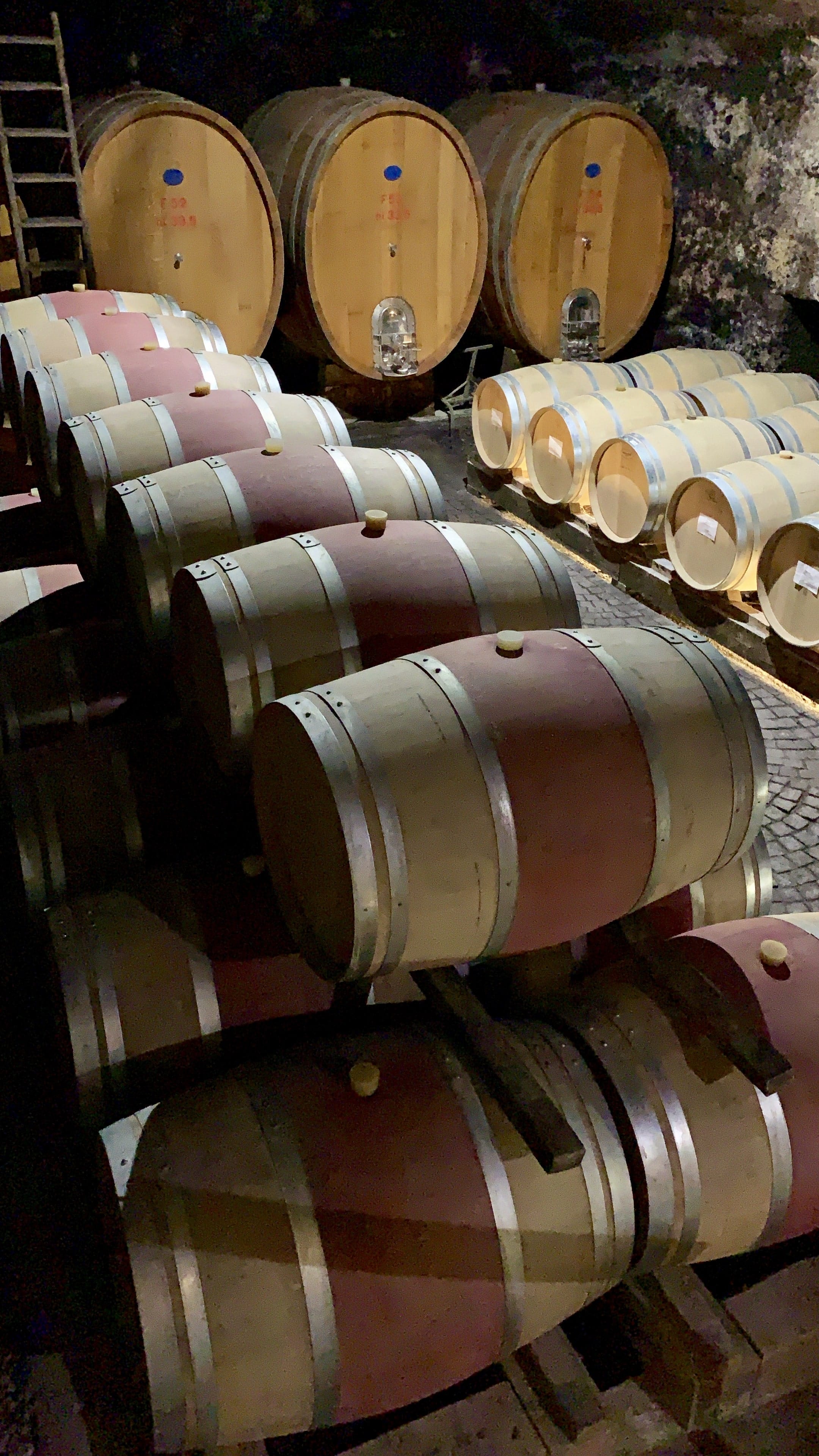Week end in Alto Adige: alla scoperta di Caldaro e della Strada del Vino 21