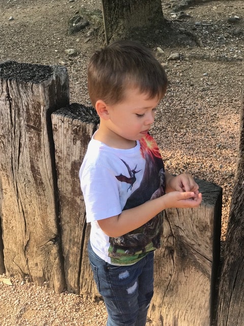 Con Mellin per il progetto "Più alberi per più bambini" 3