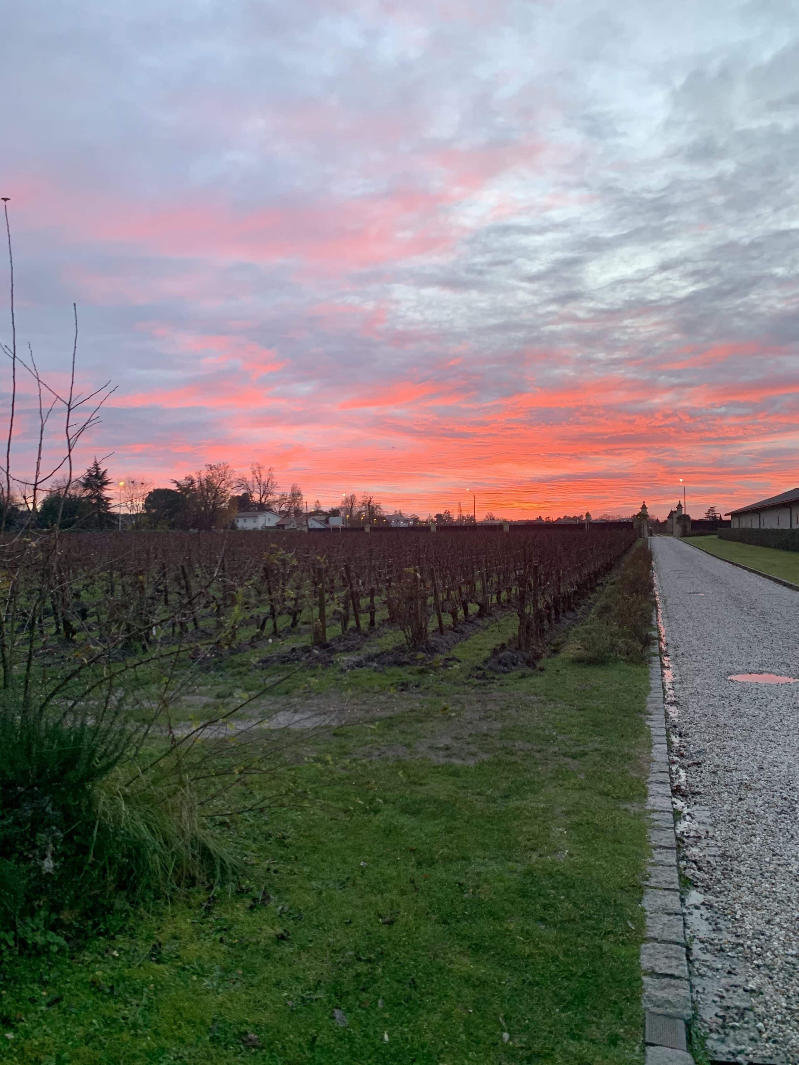 Cosa vedere a Bordeaux: guida completa alla visita della città 27